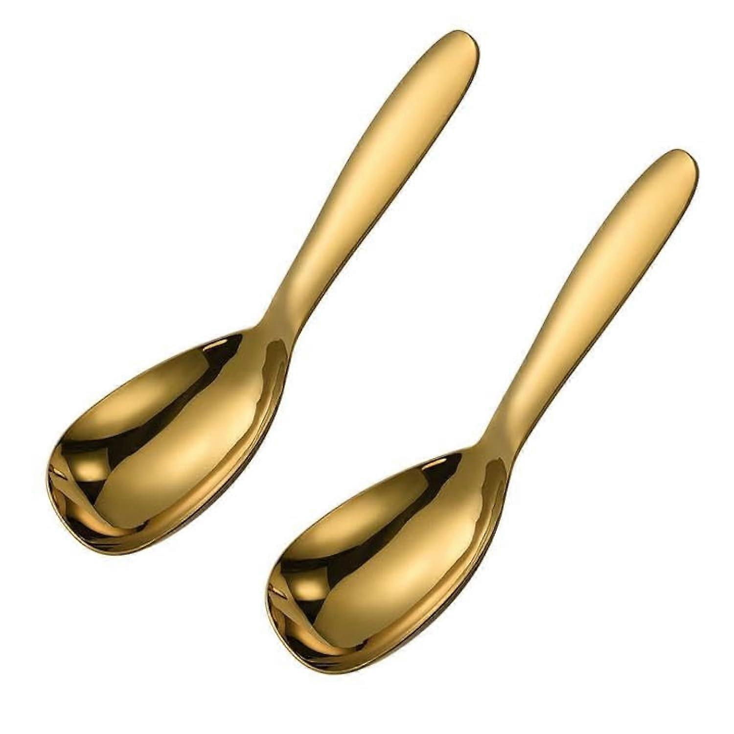 Set of 2 Stainless Steel Rice Serving Spoon with Ergonomic Handle and Mirror Polished Finish