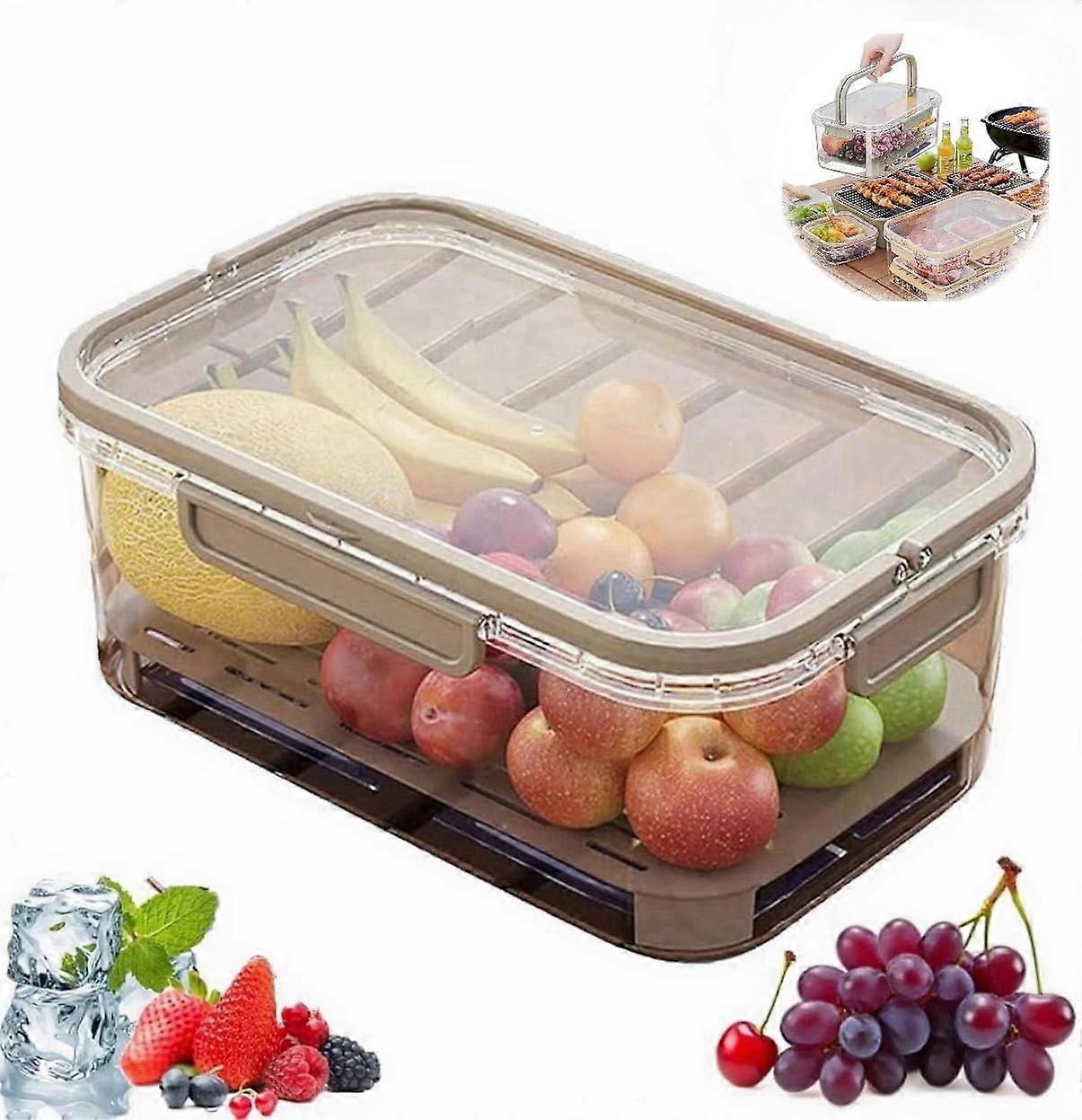 Ice Preservation Box with Reusable Ice Pack, Clear Cooler Storage with Drain Divider for Camping