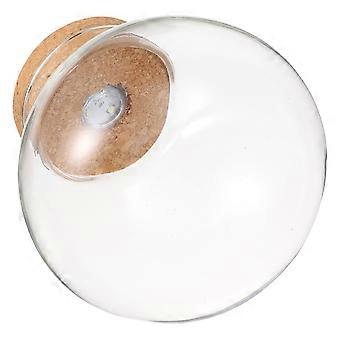 Bouteille en verre écologique pratique pour aquarium avec lumière LED