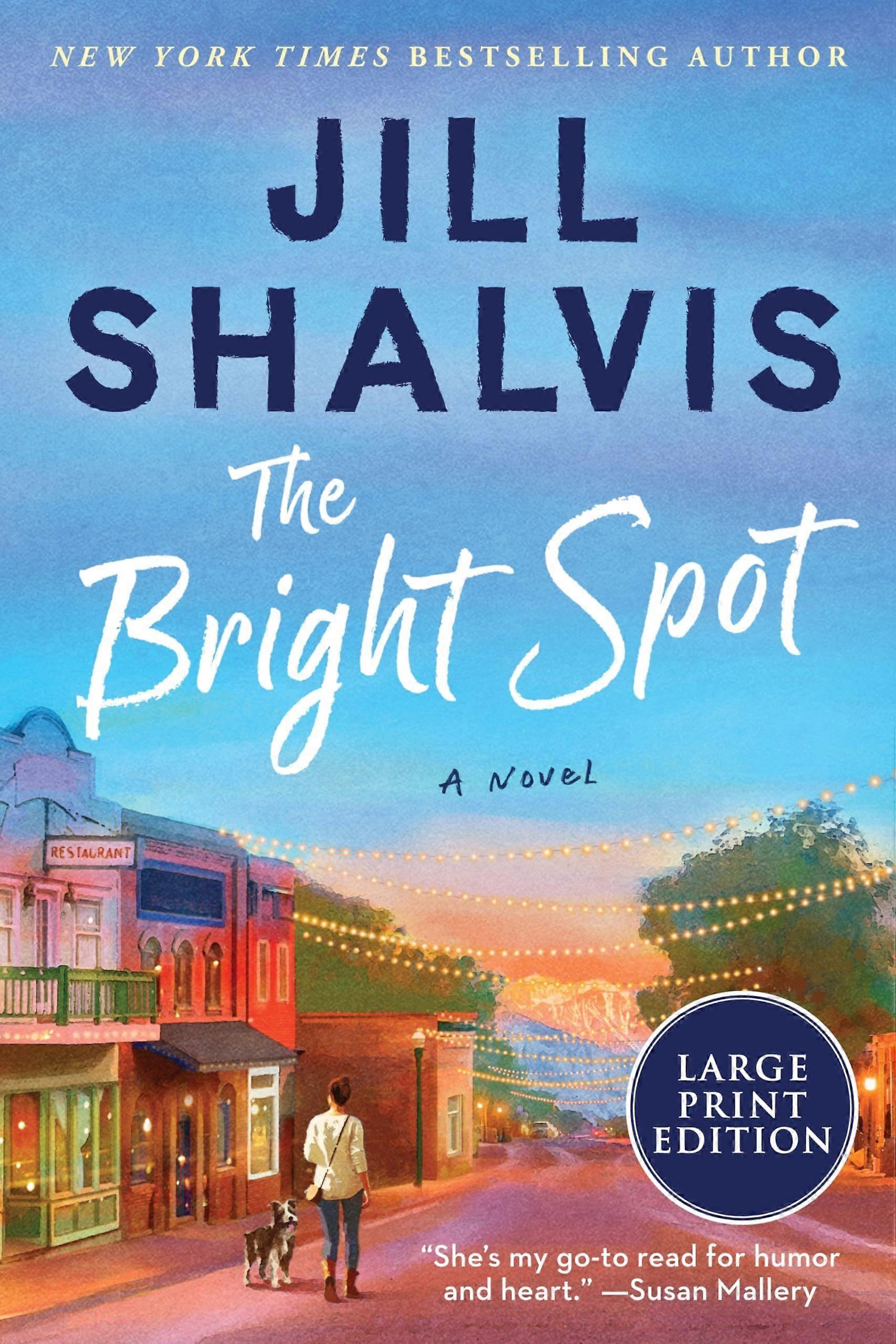 The bright spot a novel