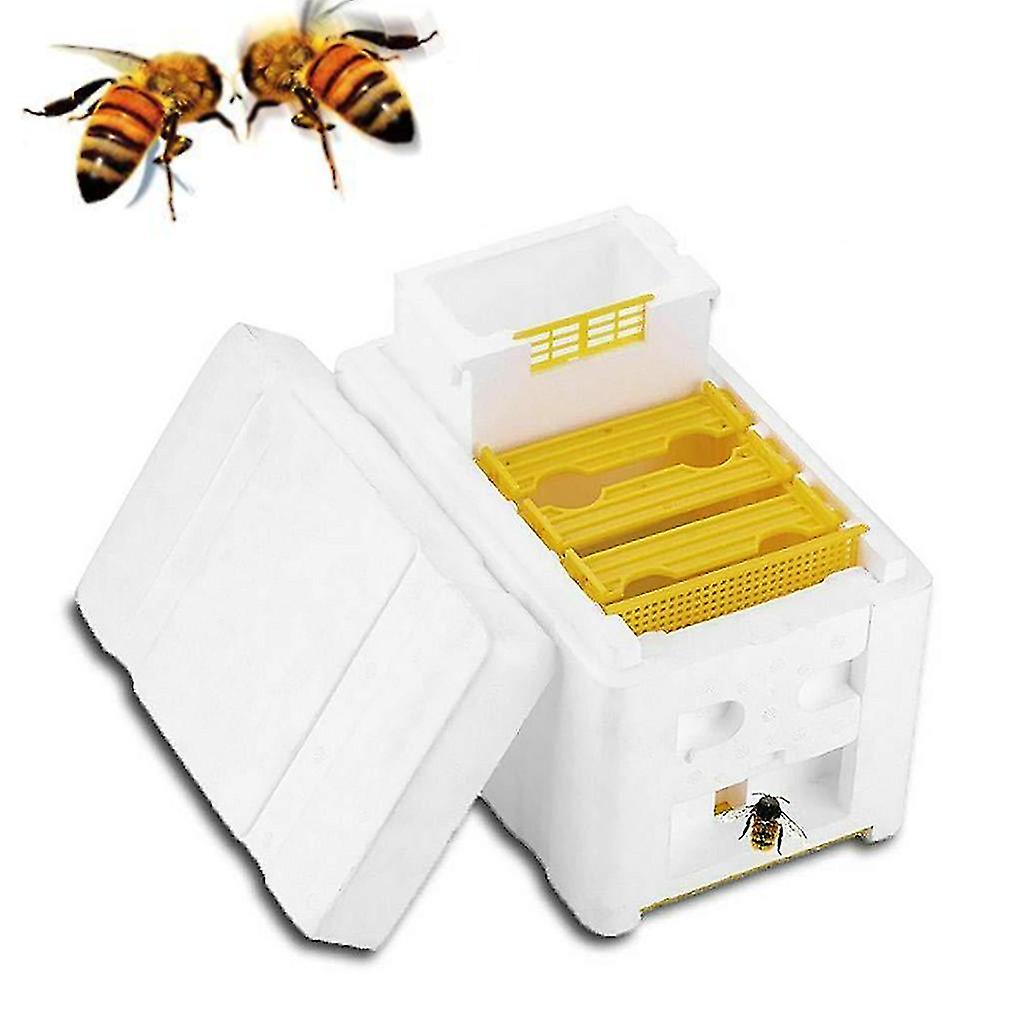 Pxcl Beekeeping Tools Bee Mating Box Foam Breeding Box Pollination Box Double Layer Breeding Box =