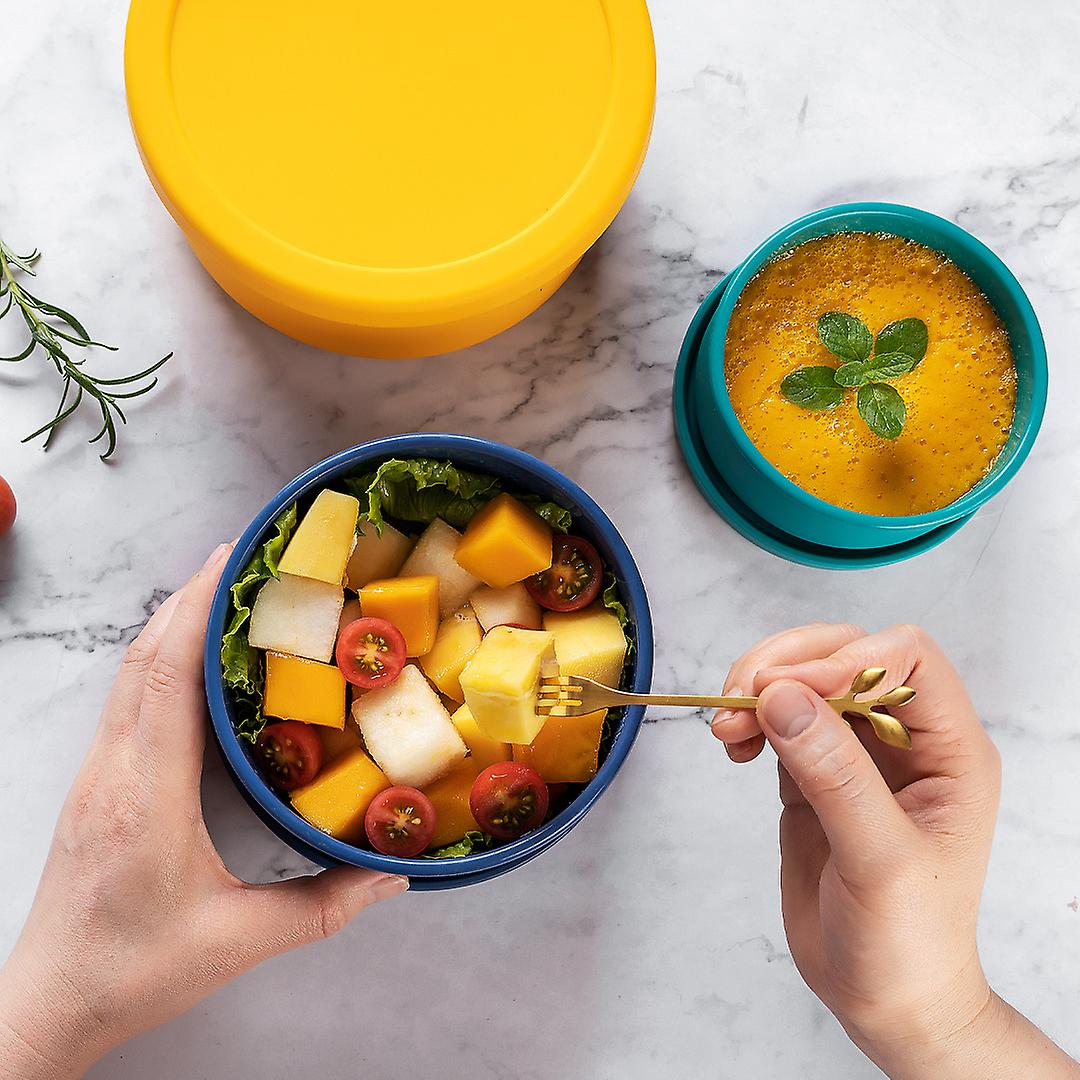 Silicone Food Storage Containers With Lids Set Of Lunch Bento Boxes