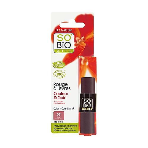 Raspberry pink lipstick 05 1 unit