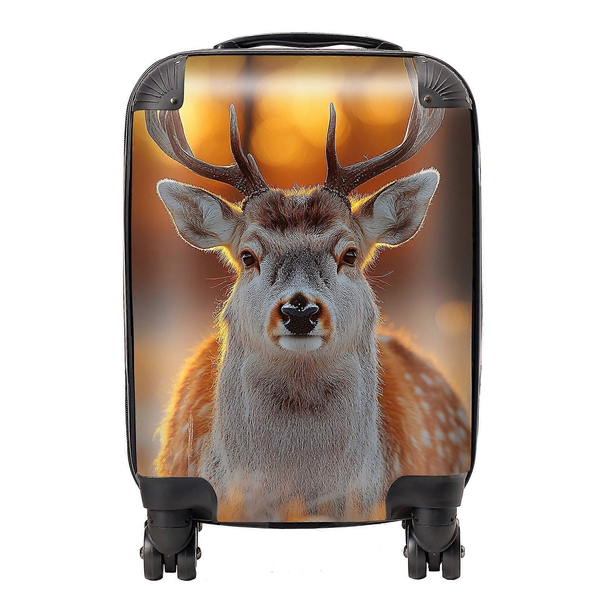 Finn Wilder: 00029 Suitcase