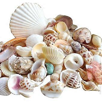 200g Muscheln Korallen Stein Handwerk Aquarium Dekoration Aquarium Landschaft