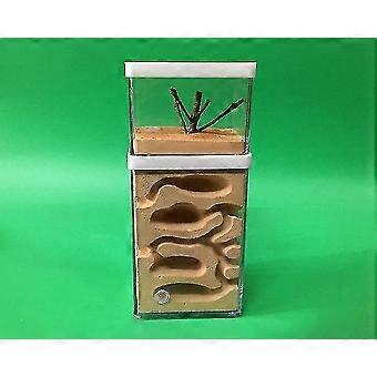 Plaster Ant Farm Natural Ecocal Big Ant Nest Insect Castle Workshop Pet Anthill Ant House