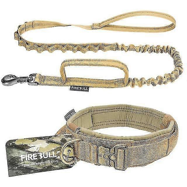 Dog Collar Leash Set