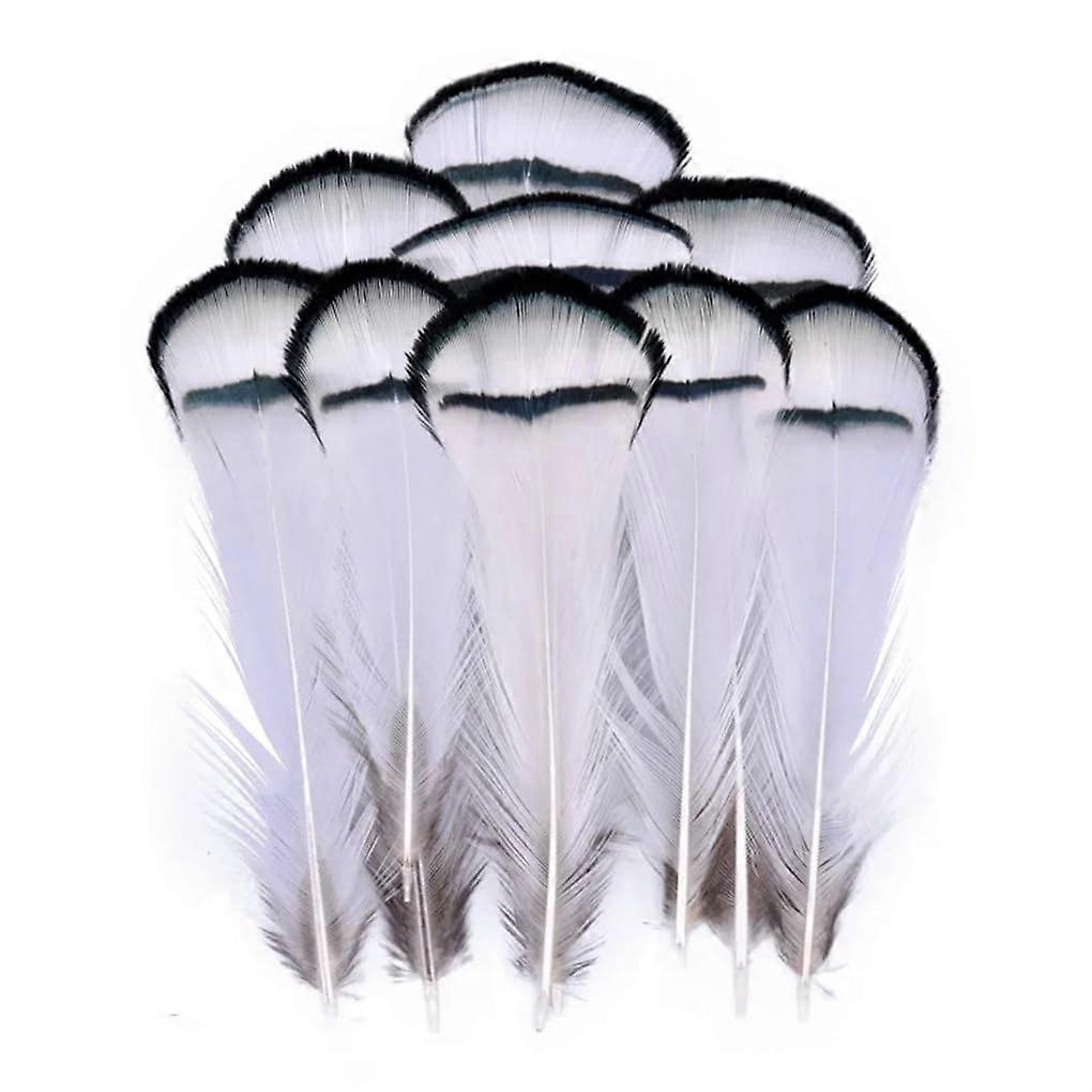 Natural Pheasant and Peacock Feathers for Crafts, Jewelry, and Holiday Decorations, 3-7cm, 500pcs Mixed Size Collection