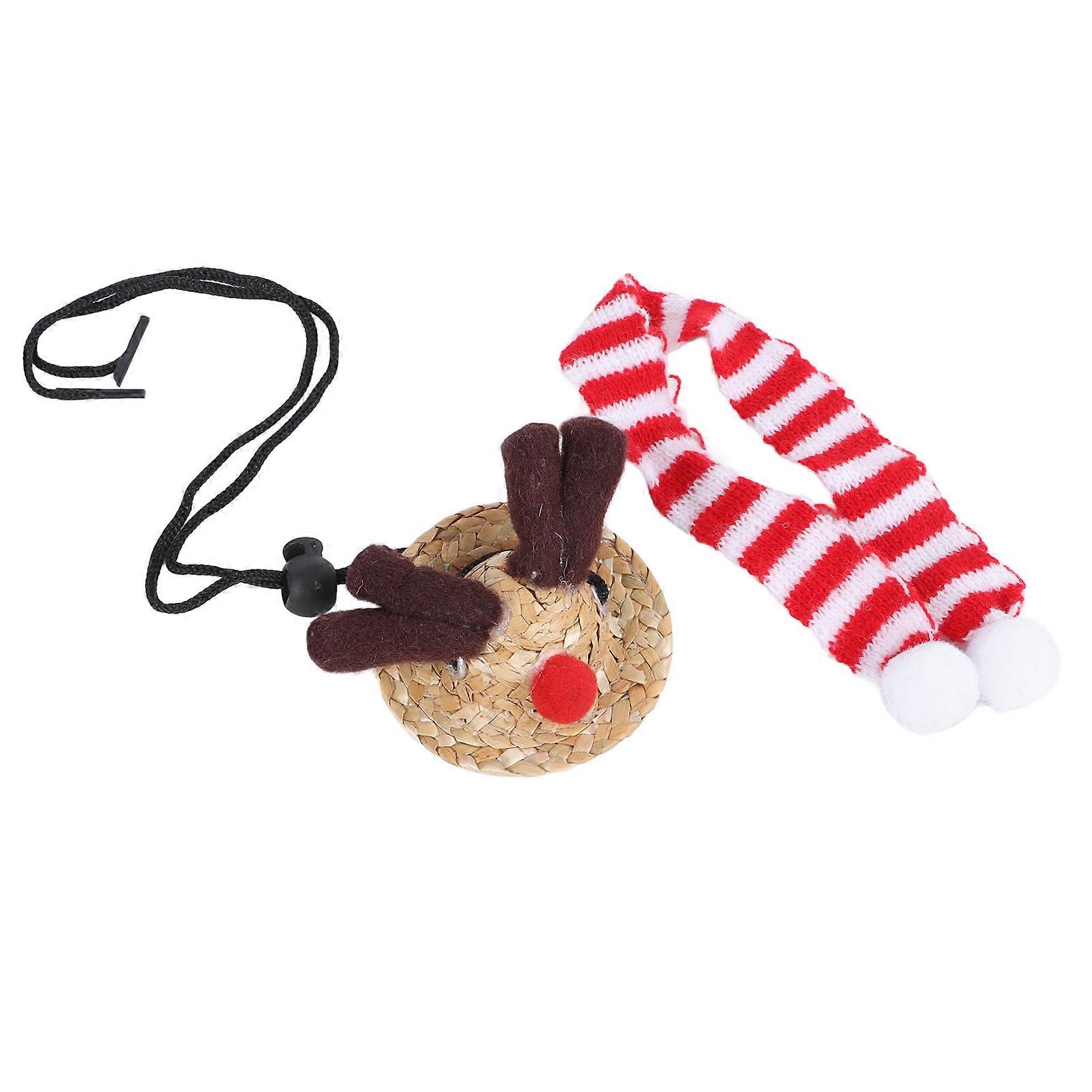 Bearded Dragon Santa Hat with Red Soft Scarf Adjustable Size