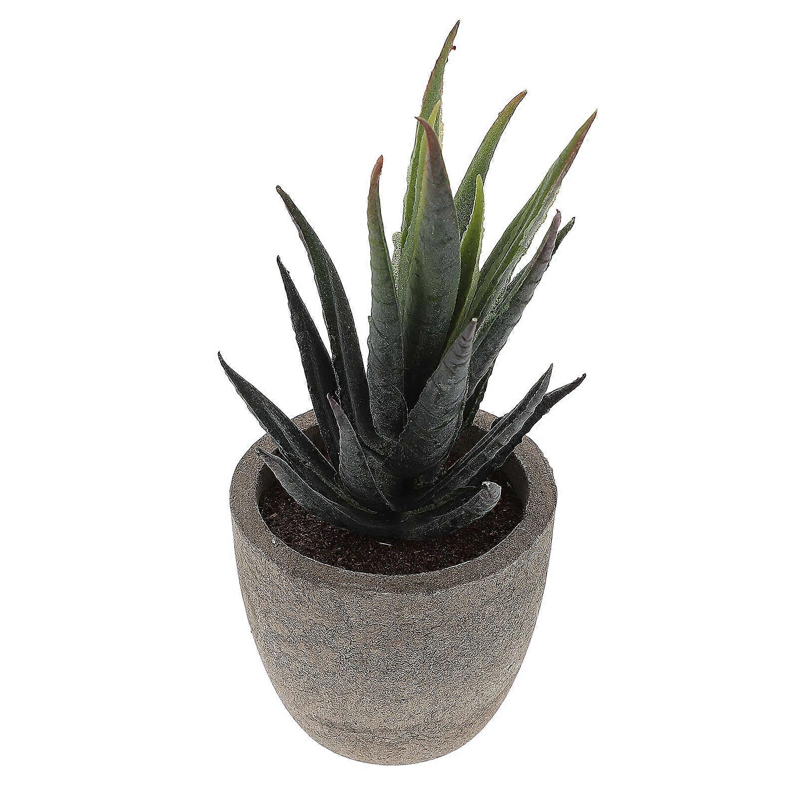 Simulation Plants Faux Succulent Decorative Plants for Decoration Use 2Pcs