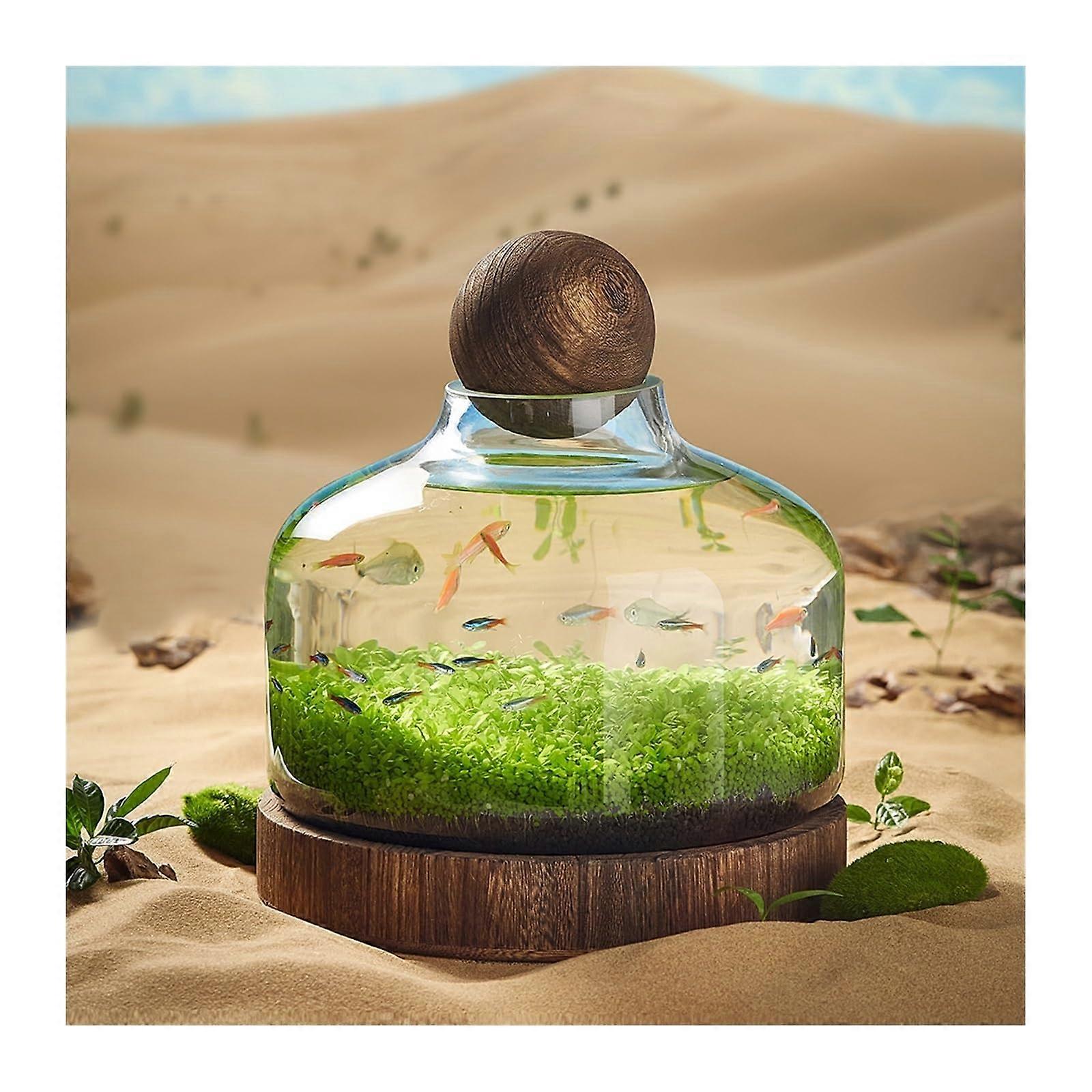 Desktop Aquarium with Clear Glass Viewing, SelfCirculating Ecosystem and Wooden Base, Medium