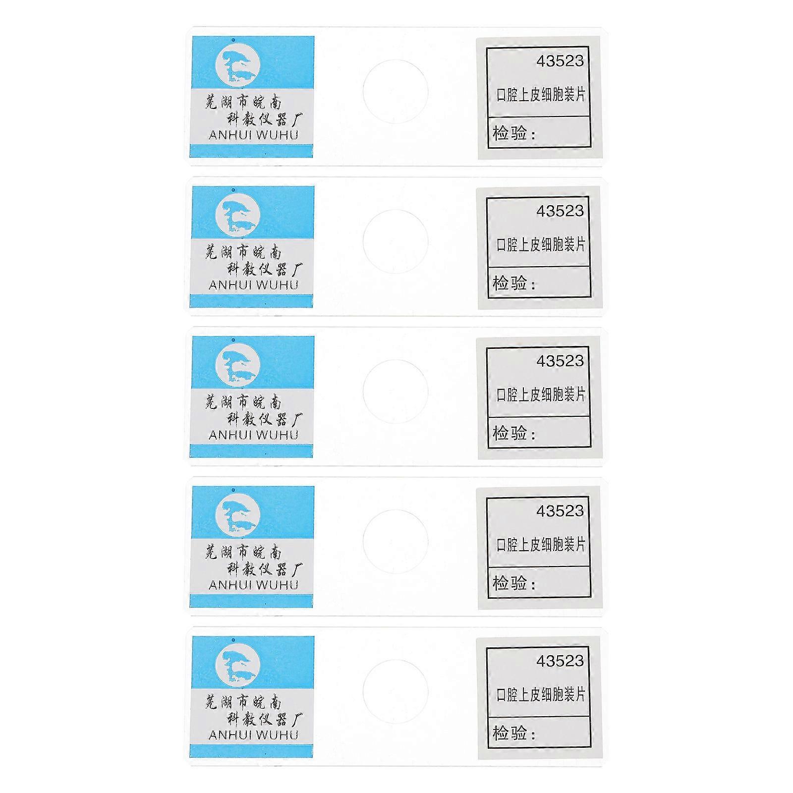 Oral Epithelial Cells Glass Microscope Slides for Science Education 10Pcs