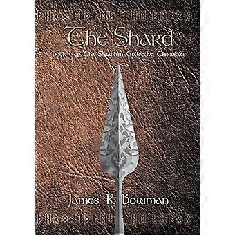 Seraphim Collective Chronicles: Buch 1 - Die Scherbe