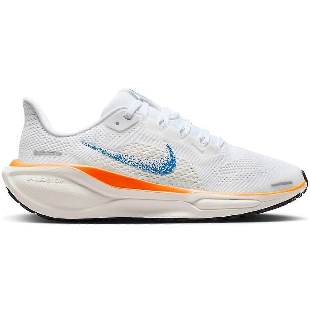 Shoes Nike Pegasus 41 HM4820100