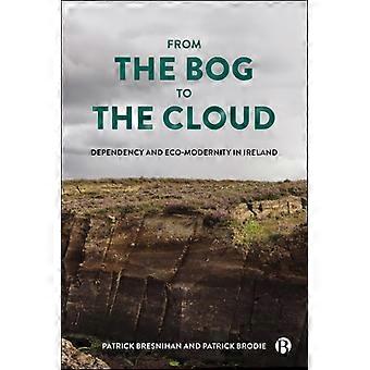 De la turbera a la nube: Dependencia y ecomodernidad en Irlanda