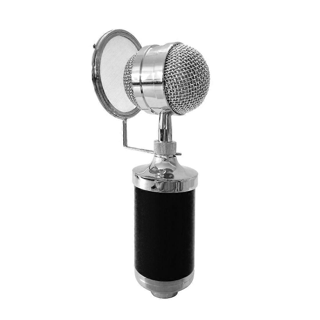 3000 Home KTV Mic