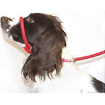 Geflochtenes Anti-Pull-Kopfhalfter aus Nylon für Hunde - verstellbare Passform, rot