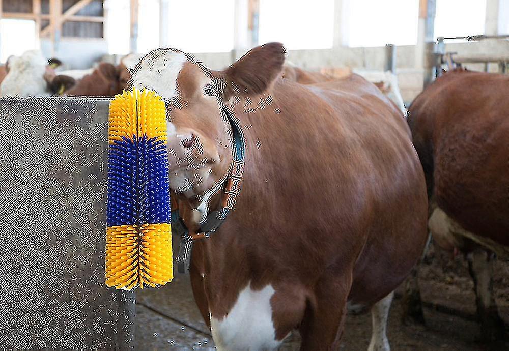 Spazzola per cavallo, manzo, capra