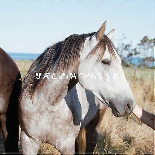 Salvia Palth : Melanchole CD (2022)