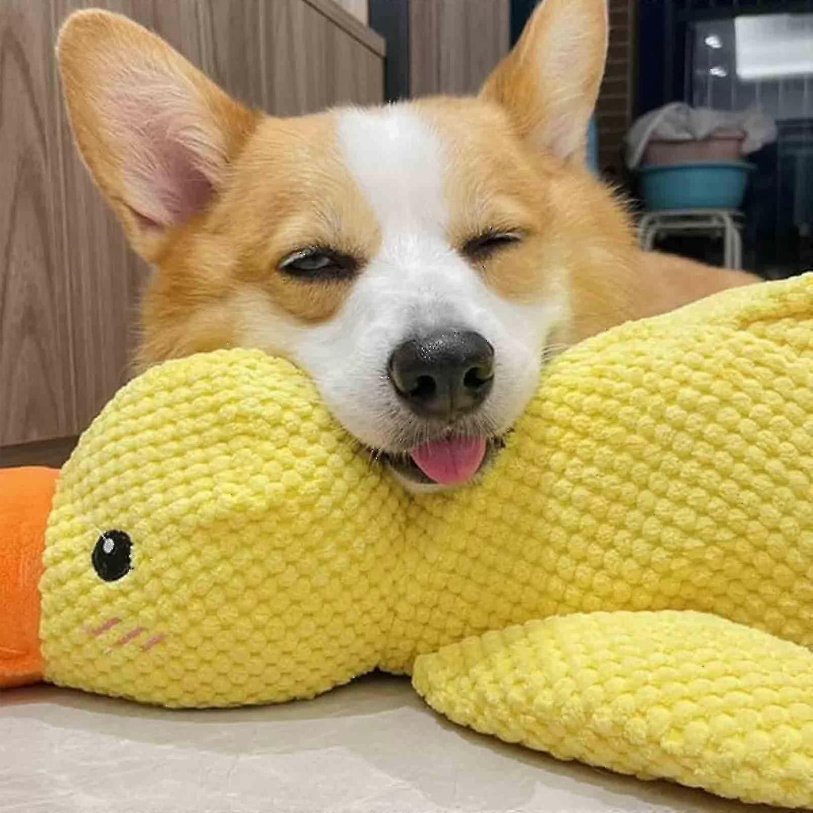 Interactive Quacking Duck Toy Compatible With Dog With Real Quack Sound,stuffed Duck Dog Toy