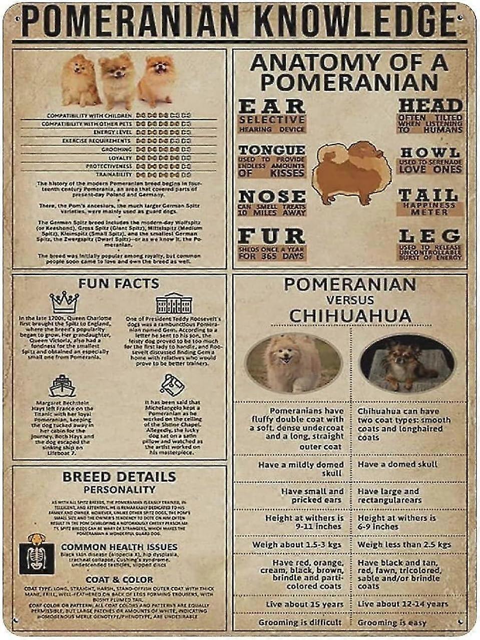 Placa de Metal Vegan Knowledge Vintage Tin Poster Metal Sign 8x12 Polegadas OU 12x16 Polegadas Modo 1628