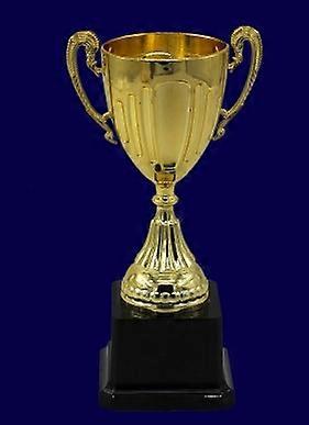 Awards Trophy Personalized Achievement Trophy Cup Rewards Gift Winning Prize