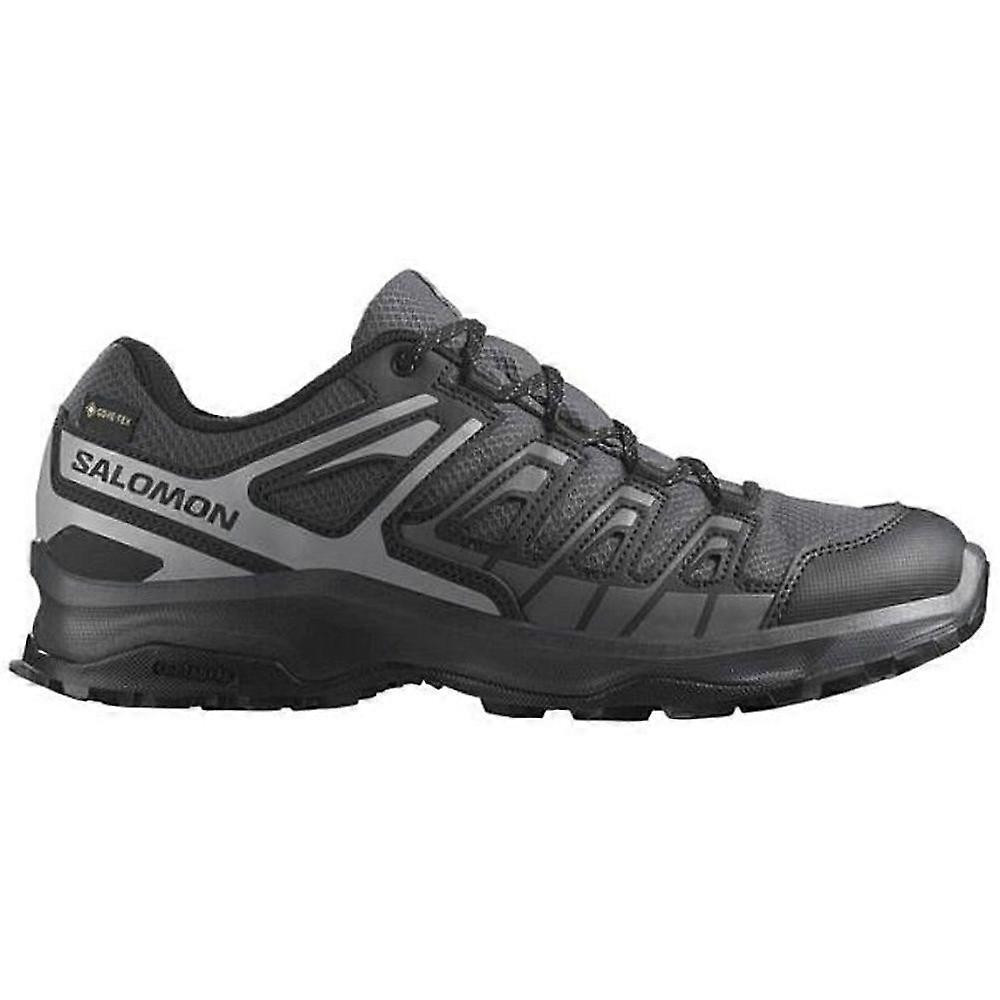 Shoes Salomon Extegra Gtx 477688