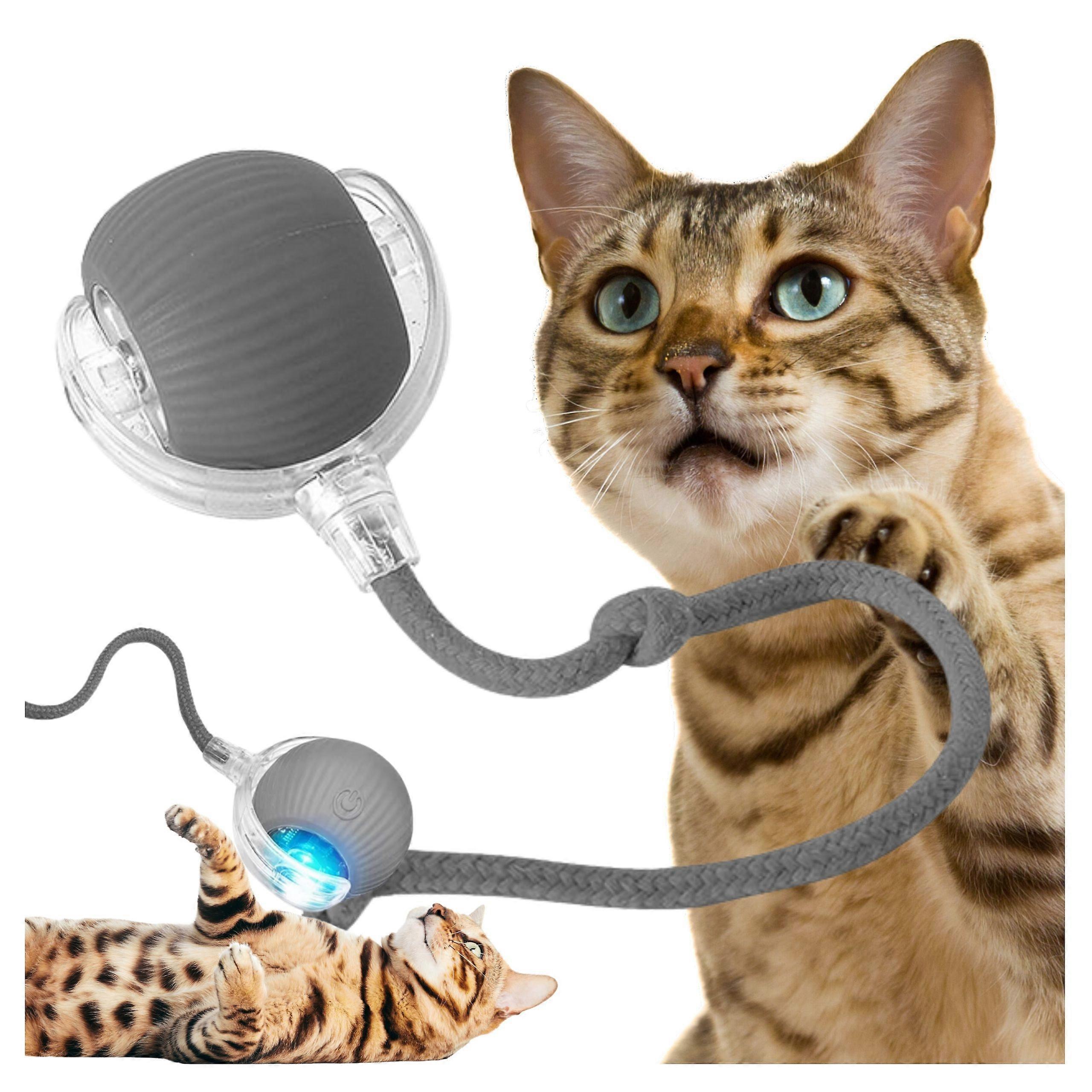Interactive Ball For Cat Dog Led Toy Usb Vibrating Electric