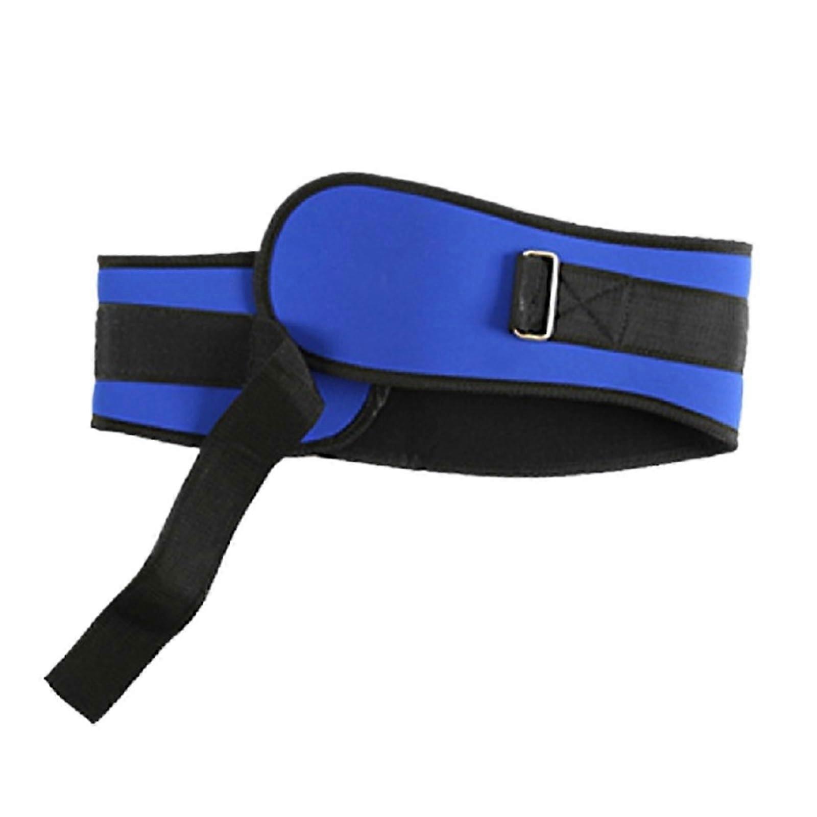 Weight Lifting Belt, 1 Pc, Blue, Size L, Back Support for Barbell and Dumbbell Training, Wrist Brace, Men and Women