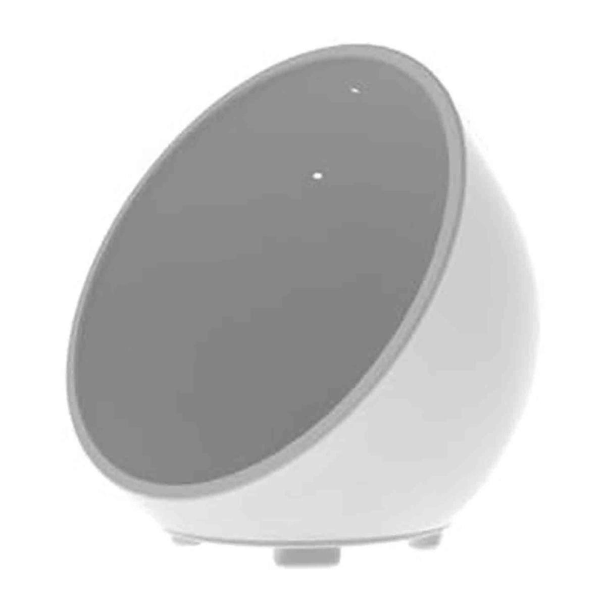 Silicone Protective Case for Spot Grey white