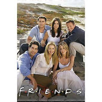 Friends (199 TV SeriesStress Reliever Jigsaw Puzzle P1443