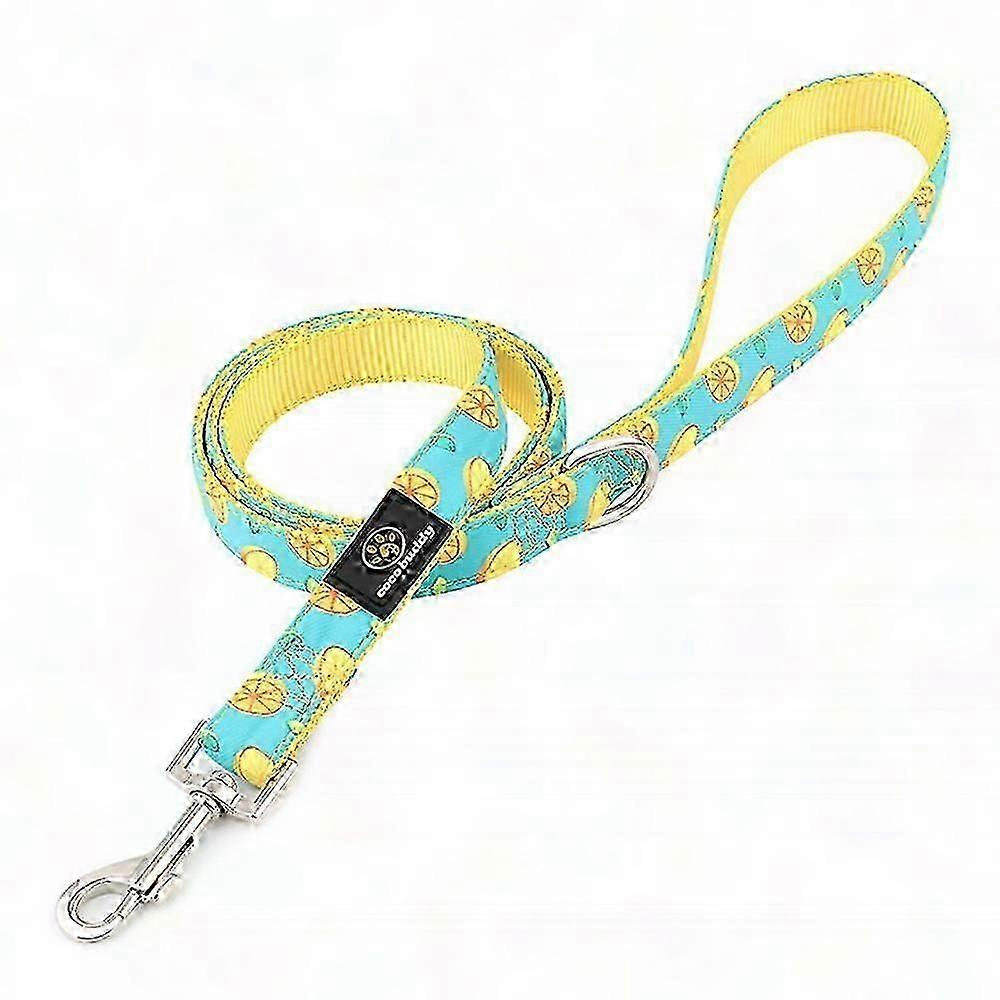 Leash for Large, Medium & Small Pets with Pattern Design