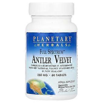 Planetaire kruiden, Full Spectrum Antler Velvet, 250 mg, 60 Tabletten