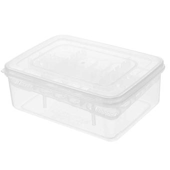 Reptilienzuchtbox, Kunststoff-Brutschale für Eier, 16 Fächer