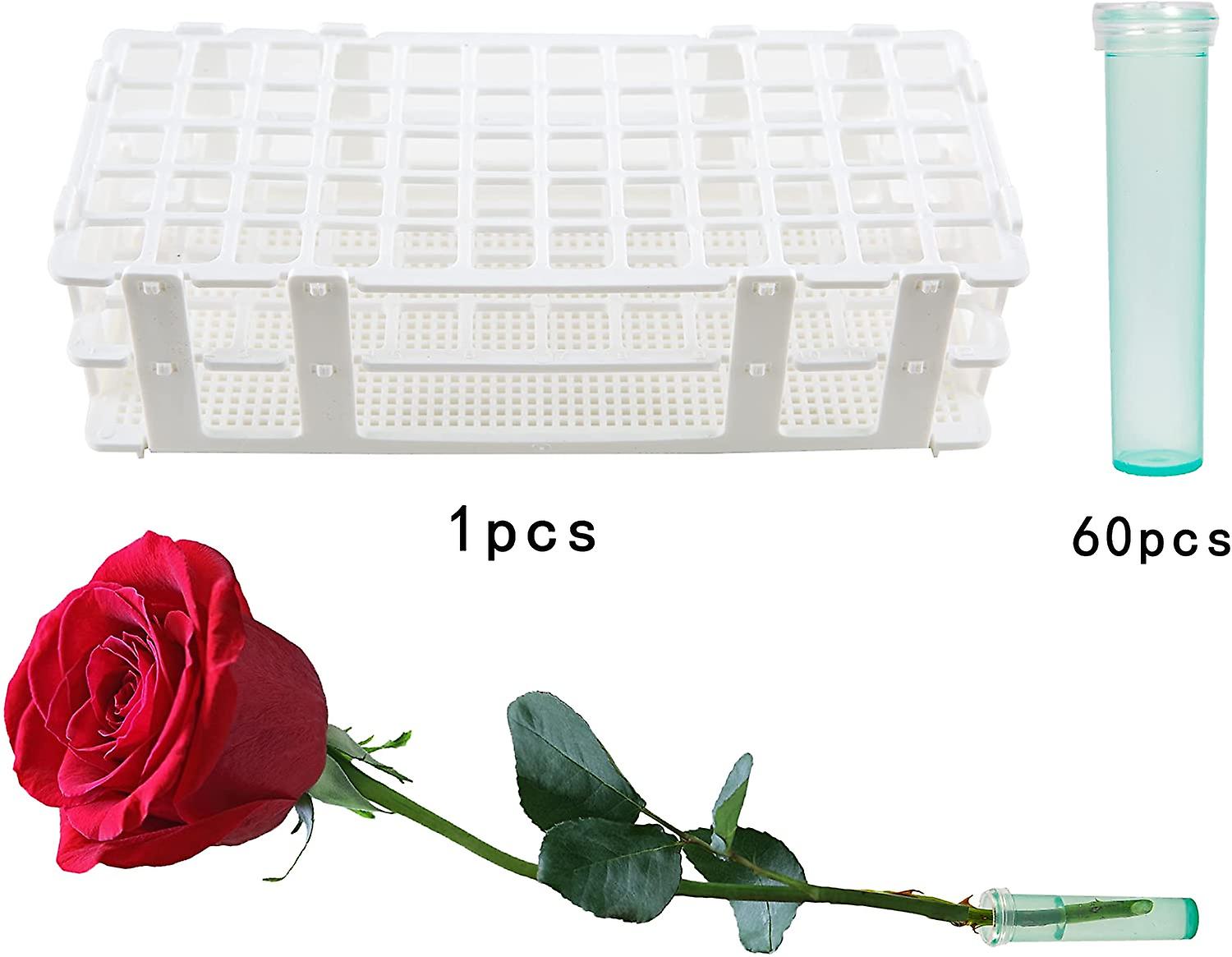 60 Pieces 2.8 Inch Plastic Water Tubes With 60hole Rack Holder For