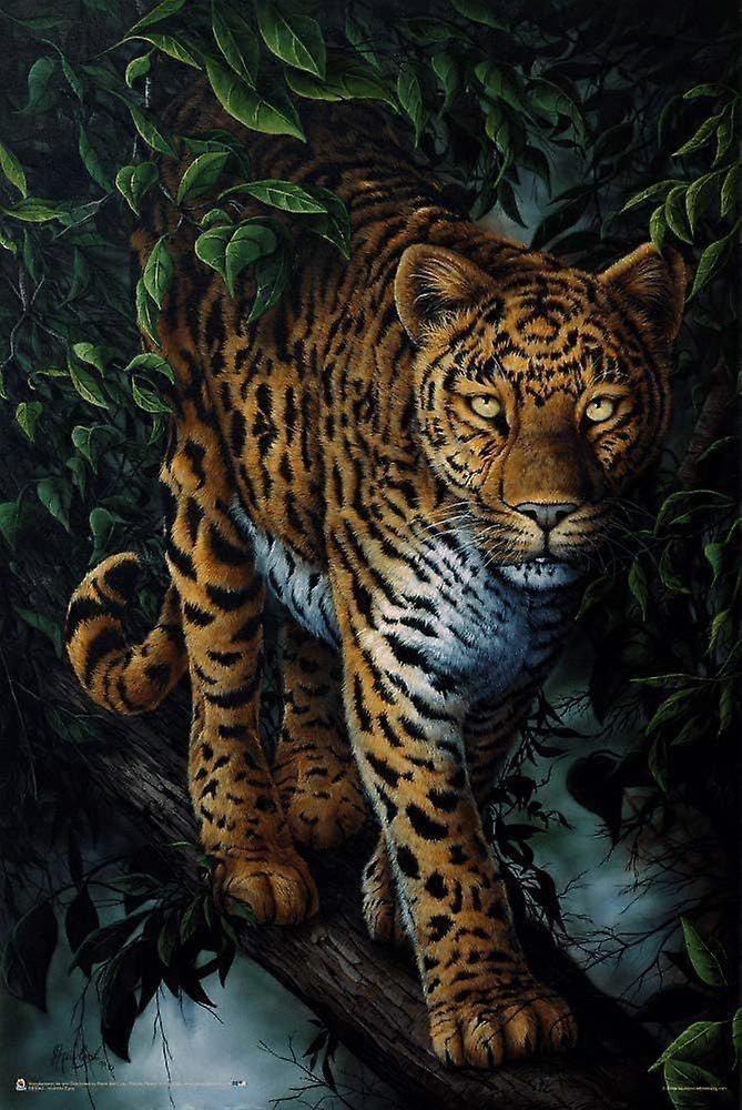 Puzzles Watchful Eyes FL062