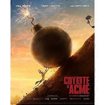 New Coyote Vs. Acme Exquisite puzzles and Gifts BD-5211