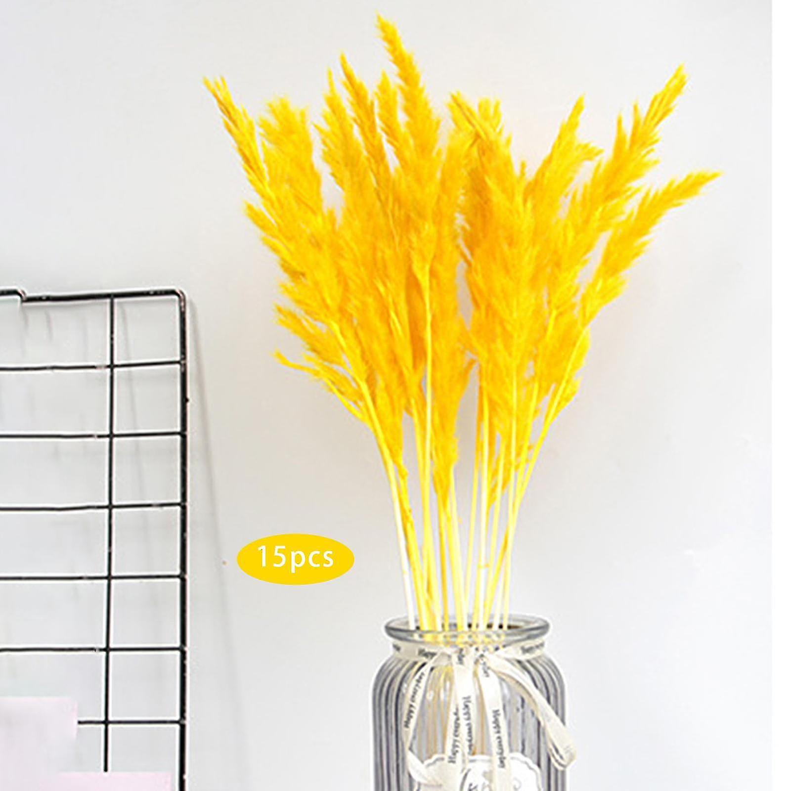 15 قطعة الاصطناعية المجففة بامباس العشب، phragmites القصب زهرة باقة للمزهرية، لغرفة المعيشة صورة الدعائم ديكور غرفة المزرعة - الوردي أفضل جي