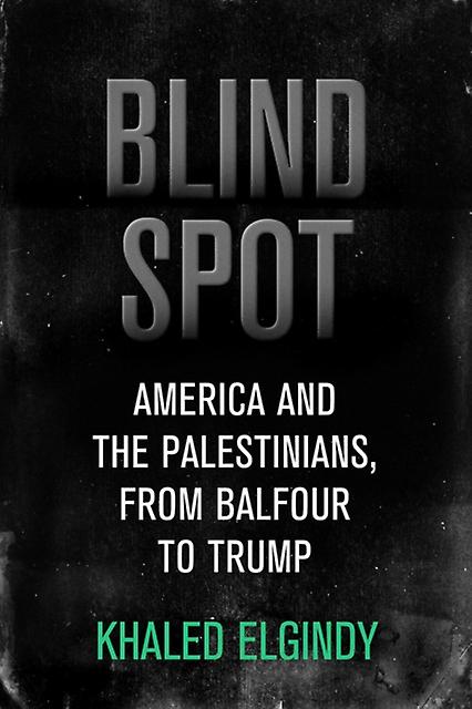 Blind Spot by Khaled Elgindy Paperback Book