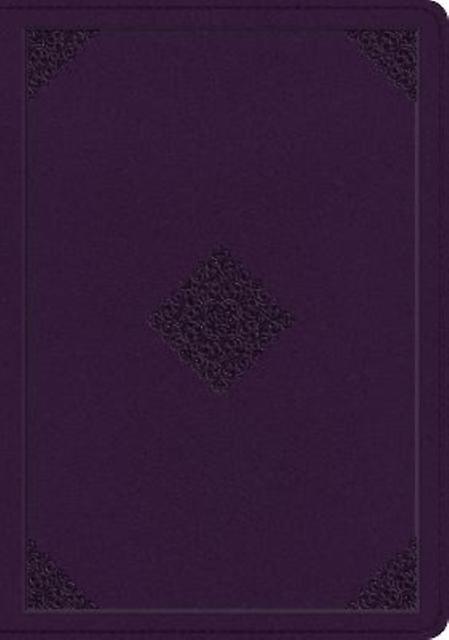 Esv Single Column Journaling Bible Large Print Leather  fine binding Book