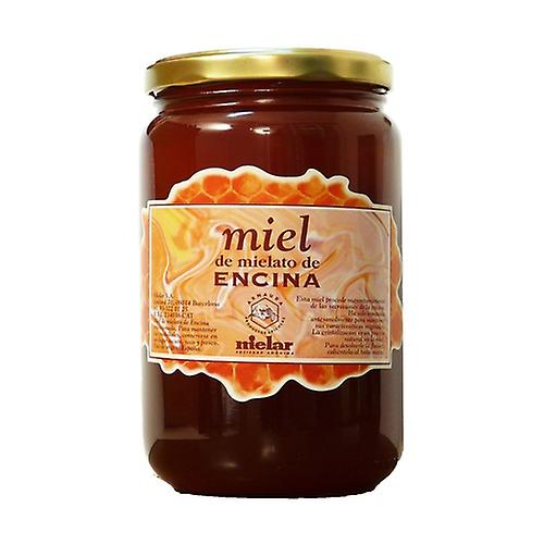 Holm oak honey 4 kg