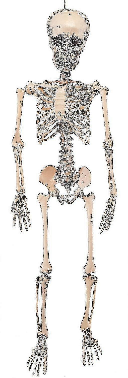 Tall Posable Halloween Skeleton- Full Body Halloween Skeleton With Mov