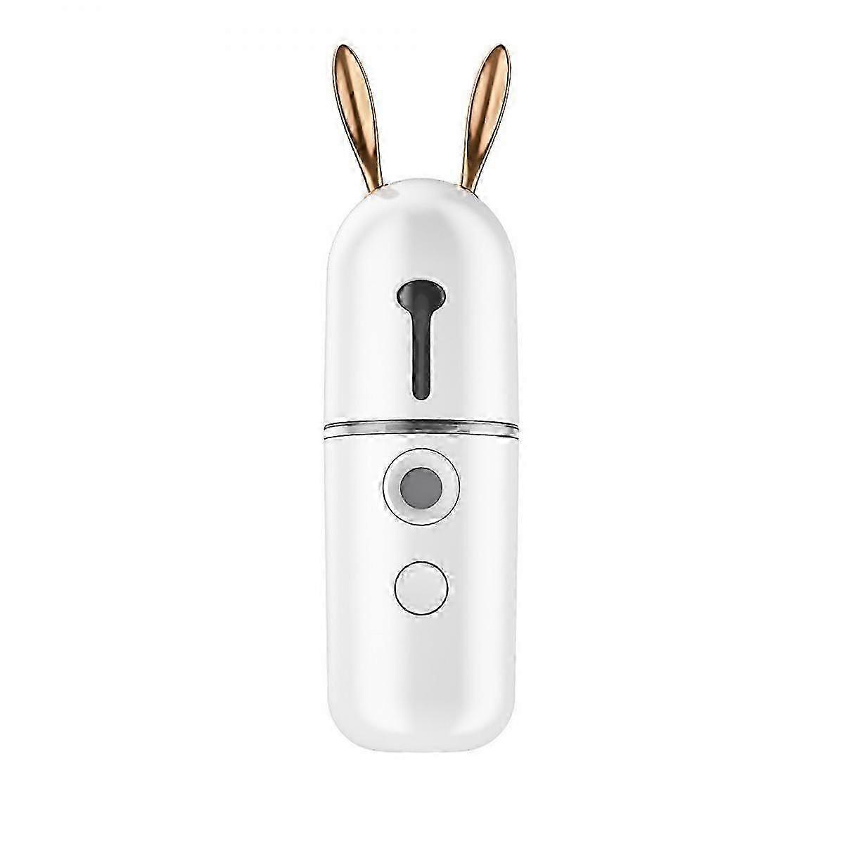 Facial Moisturising Sprayer Usb Handheld Nanos Spray Mist Atomiser Portable Cartoon