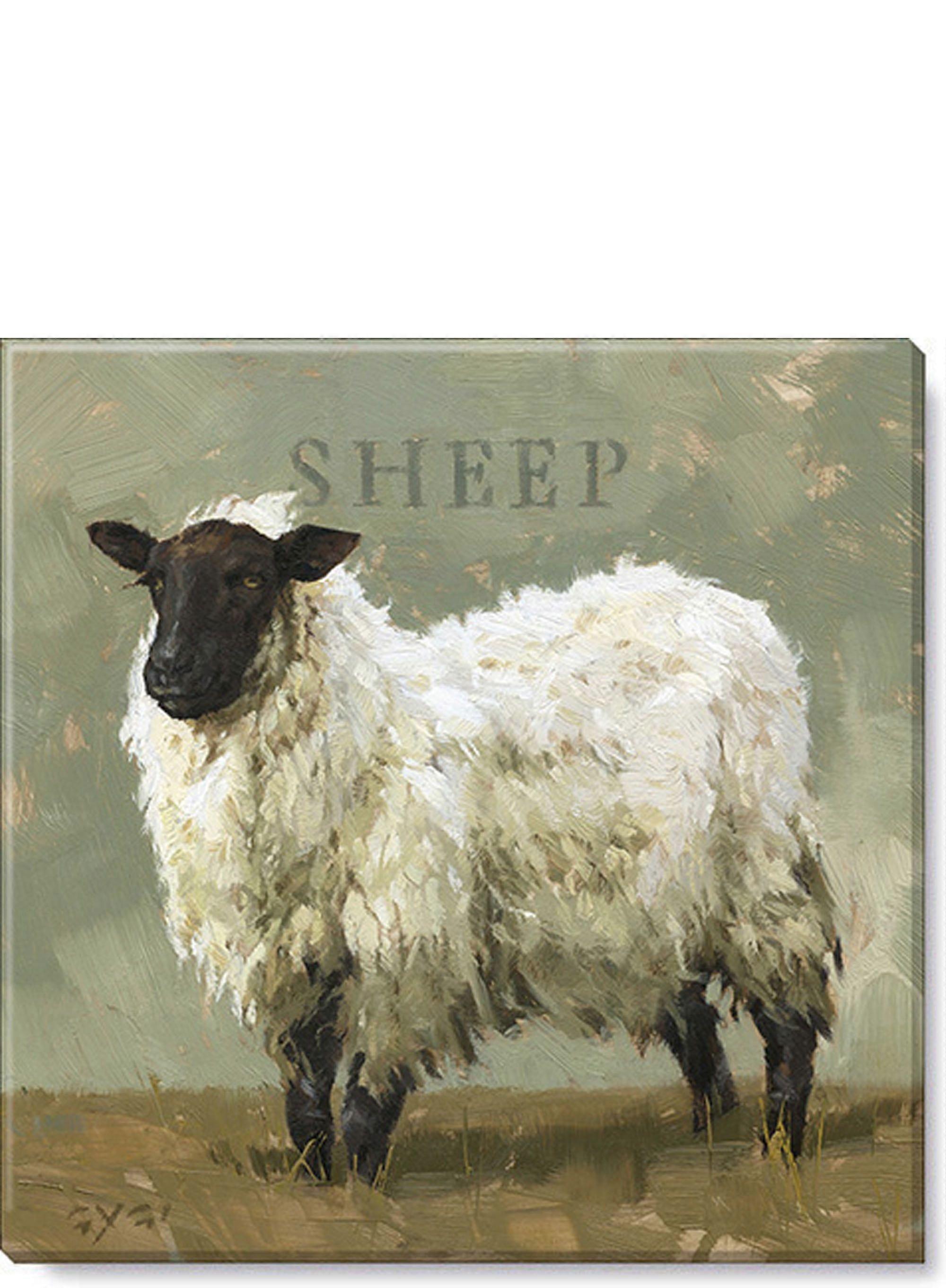 Pasture Sheep Canvas, Museum Quality Giclee Print-yezhibbb722