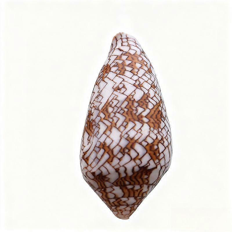 Vase Cone Textile Seashell Decorative Shell For Fish Tank Decor