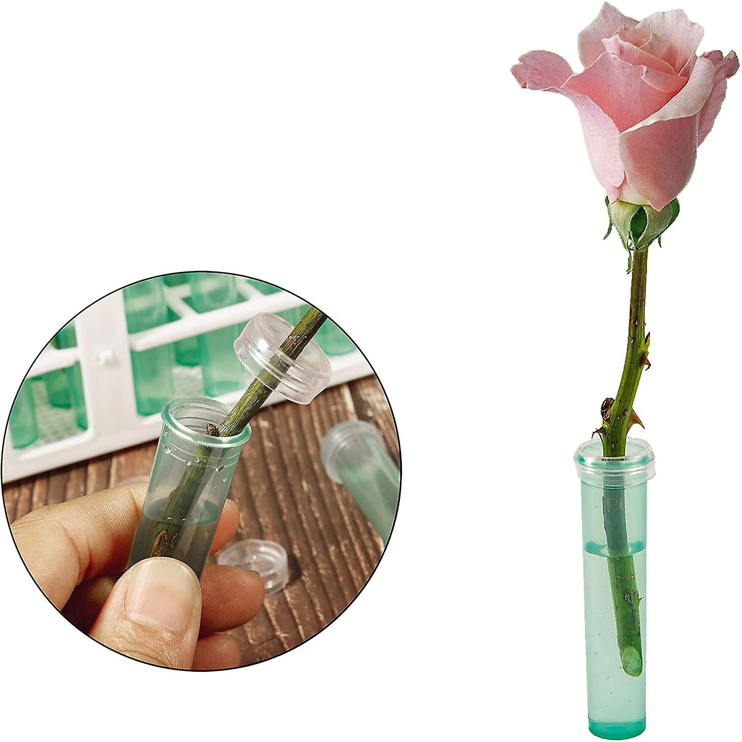 60 Pieces 2.8 Inch Plastic Water Tubes With 60hole Rack Holder For