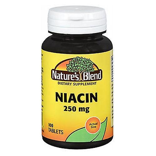 مزيج الطبيعة من النياسين ، 250 مجم ، 100 قرص (عبوة من 1)