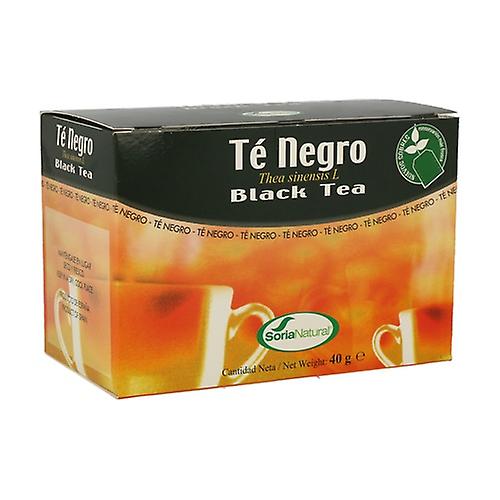 Black Tea Infusions 20 infusion bags