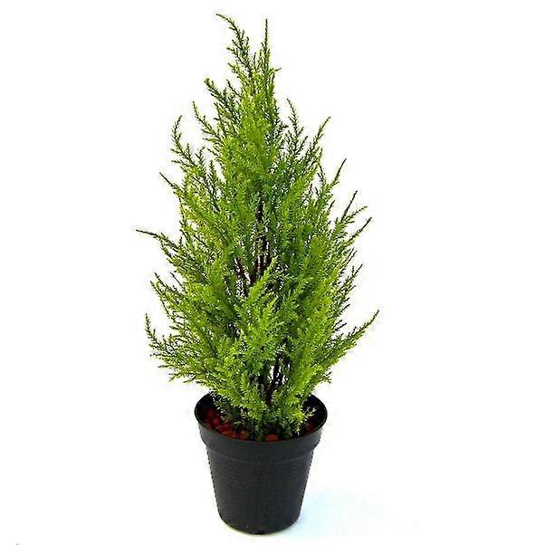 Kunstig cypres (45 cm)