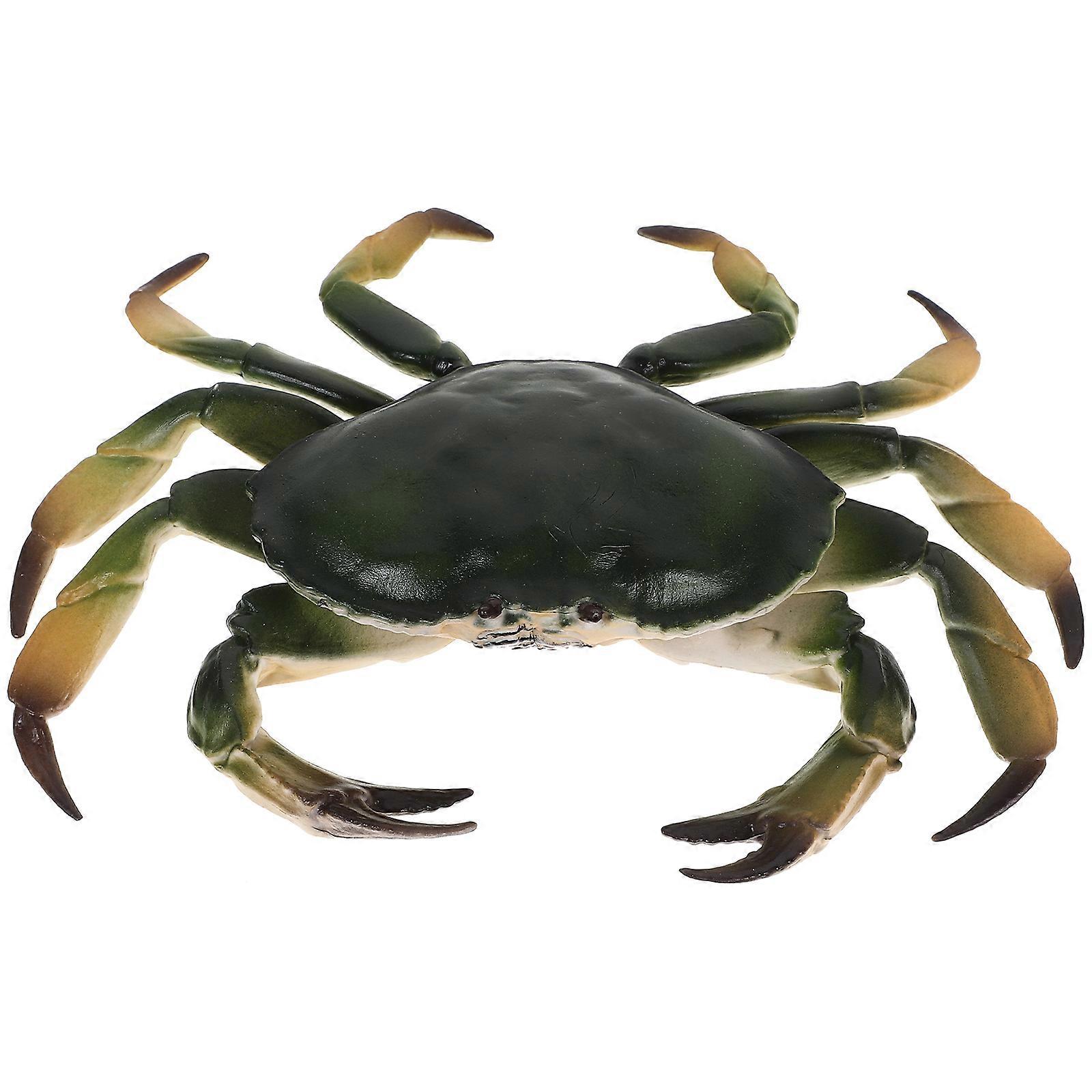 Realistic Simulation Crab Model Educational Plastic Simulated Crab Model Artificial Animal Model